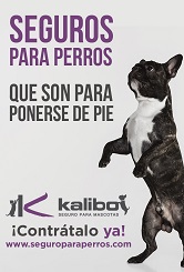 Kalibo, corredoria de seguros